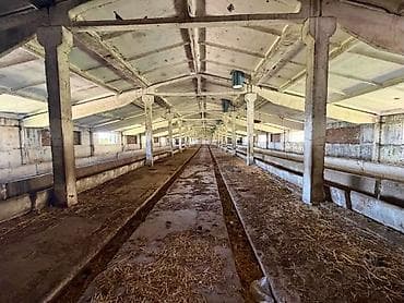 обмен домов: 📍 с. Кызыл-Туу 🔘1700м² ПРОДАЁТСЯ КОШАРА В КЫЗЫЛ-ТУУ 📍 с. Кызыл-Туу — 2