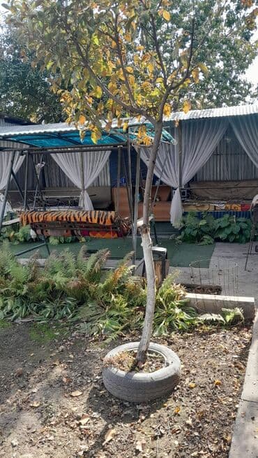 продаю дом село красная речка: Дом, 93 м², 4 комнаты, Агентство недвижимости, Косметический ремонт — 5