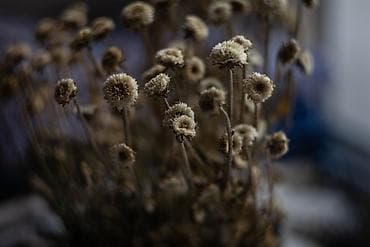 Фото жана видеокамералар: Беззеркальная камера Sony α5100 (ILCE-5100) с объективом E PZ 16–50mm — 8