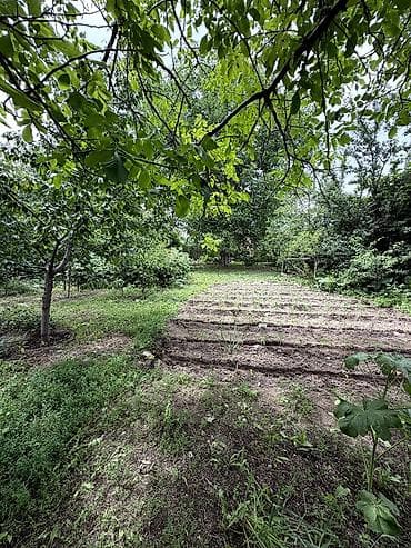 сараи: В Сокулуке ( верхняя зона) продается просторный дом. 🏠 Участок 12 — 2