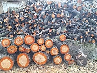 куры несушки: Дрова — 3