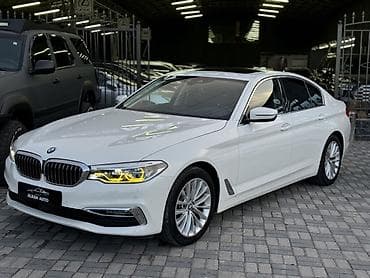 BMW 5 series: 2019 г., Автомат, Дизель, Седан — 1