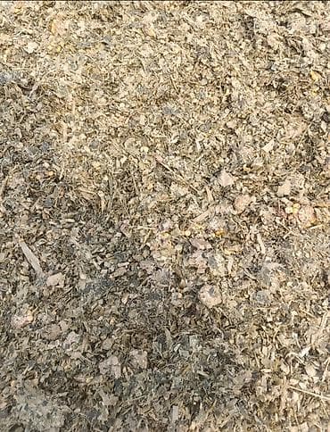 Грызуны: СИЛОС ОПТОМ дешевле — 2