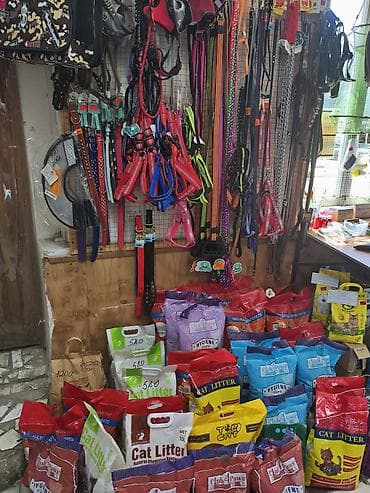 Зоотовары: Зоотовары для собак и кошек — большой выбор в одном месте Оформляем — 2