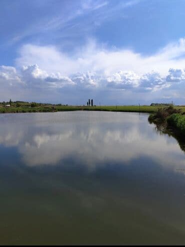 обмен кв на дом: 600 соток, Для бизнеса, Красная книга — 6