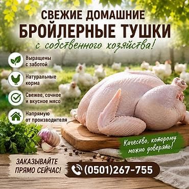 посуды для кухни: Кара-Балта ❗️❗️❗️ Урматтуу кардарлар! Өзүбүздүн чарбада өстүрүлгөн — 1