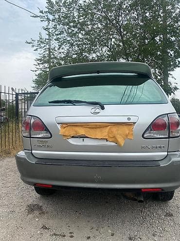 лексус 300: Lexus RX: 2002 г., 3 л, Автомат, Бензин, Кроссовер — 4