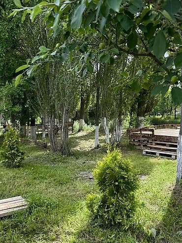 скамейки из дерева: @Fazenda.Resort + Зона отдыха у пруда в тени деревьев - Локация на — 7