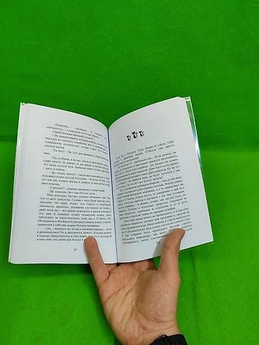 хаски и его учитель белый кот: Книга приключения кота детектива для детей от 7 лет для детского — 9