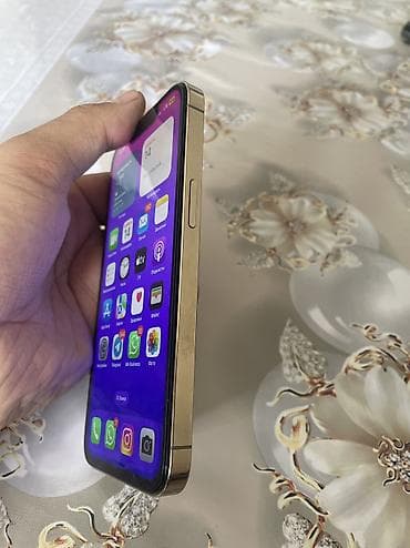 ноутбук цена ош: IPhone 13 Pro, Колдонулган, 128 ГБ, Алтын, Заряддоочу түзүлүш, Коргоочу айнек, Каптама, 100 % — 4