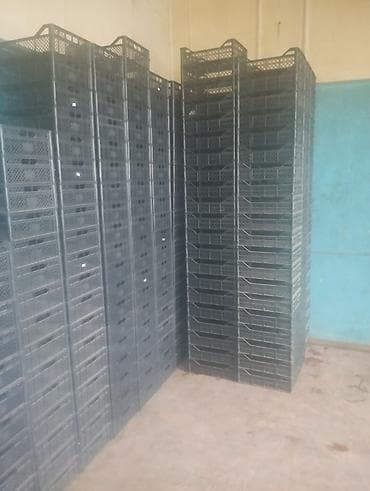 биндеры 220 листов для дома: Пластиковый Ящик — 3