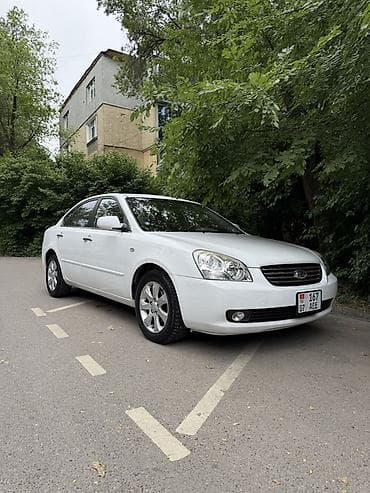 дверные обшивки фит: Kia Optima: 2006 г., 2 л, Автомат, Бензин, Седан — 1