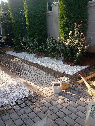 газон аренда: Живой Газон и Автополив Дизайн жасайбыз баасы келишим турдо болот! — 10