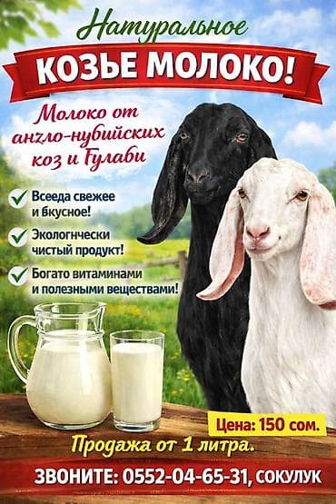 колбаса домашняя: Молоко нубийских коз. без специфического запахавысокого качества — 1