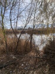 клубный дом карвен: 17 соток, Для сельского хозяйства, Красная книга — 3