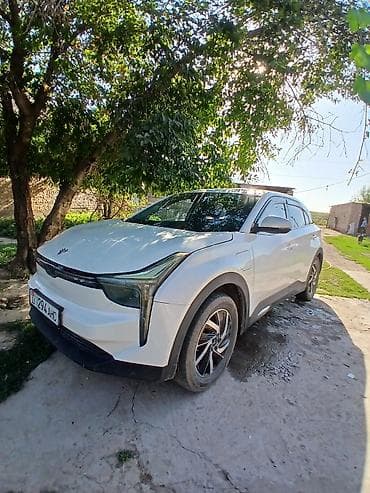 BAW: BAW : 2022 г., Автомат, Электромобиль, Кроссовер — 1