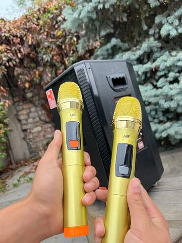 портативные колонки kolee: Калонка аренда. Подходит на все мероприятия, звучит чисто и — 2