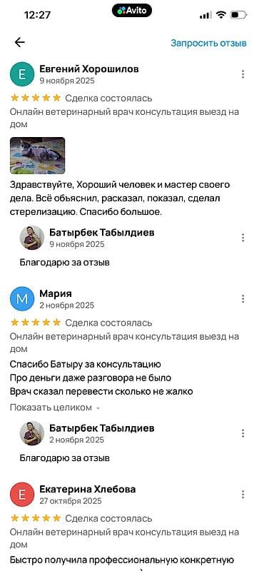 ветеринарная клиника на дом: Салам алейкум. Меня зовут Батыр, я ветеринар. Несколько лет я работал — 9