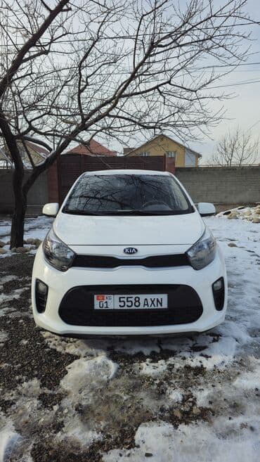 киа морнинг фото: Kia Morning: 2019 г., Автомат, Газ, Хэтчбэк — 2