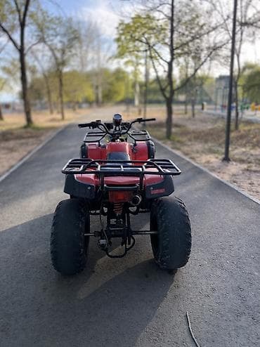 сервопривод купить: Квадроцикл Подходит для: - Прогулок по бездорожью, рыбалки, охоты - — 5