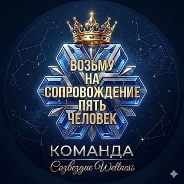 швея аламидин 1: Онлайн-проект с Siberian Wellness — набор в команду «Созвездие — 1