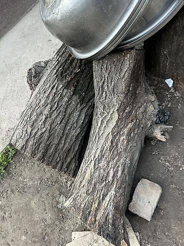 фруктовые дрова: Дрова — 3