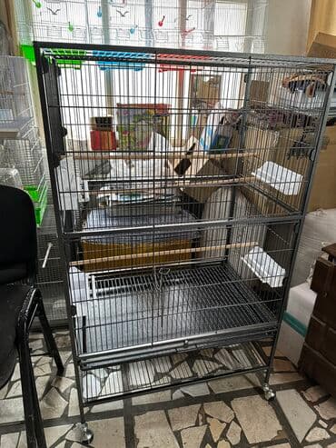 домик для кур: Просторная клетка для птиц, выполненная из металла с черным покрытием — 4