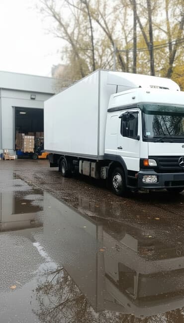 мотор на марк 2: Грузовик, Mercedes-Benz, Стандарт — 1