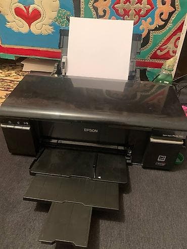 принтер hp 2515: Принтер Epson Stylus Photo P50 — 1