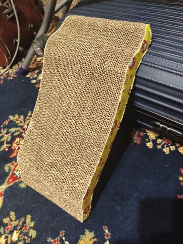 домик для кота: 4 месяца, Мальчик, Приучена к лотку — 7