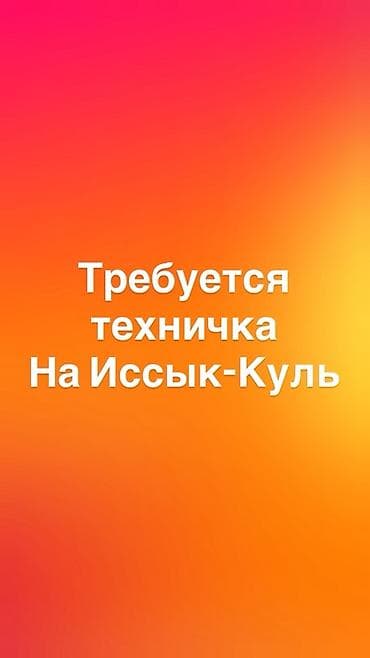 Вакансии: Вакансия: техничка (уборщица) на Иссык-Куль
Оплата каждый день — 1