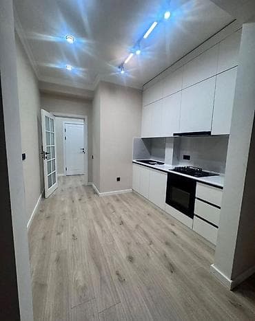 43: 2 комнаты, 64 м², Элитка, 6 этаж, Евроремонт — 1