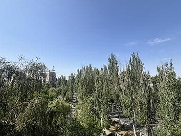 105: 1 комната, 33 м², Асанбай мкр 105 серия, 5 этаж — 7