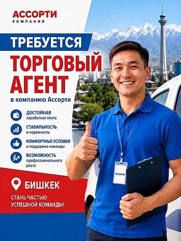 Требуется Торговый агент, График: Пятидневка, Менее года опыта, Карьерный рост, Полный рабочий день at lalafo.kg Требуется Торговый агент, График: Пятидневка, Менее года опыта, Карьерный рост, Полный рабочий день
