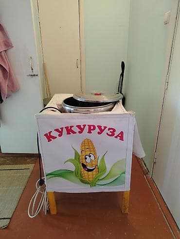 Оборудование для бизнеса: Аппарат для варки кукурузы на электричестве (настольный/прилавочный — 2