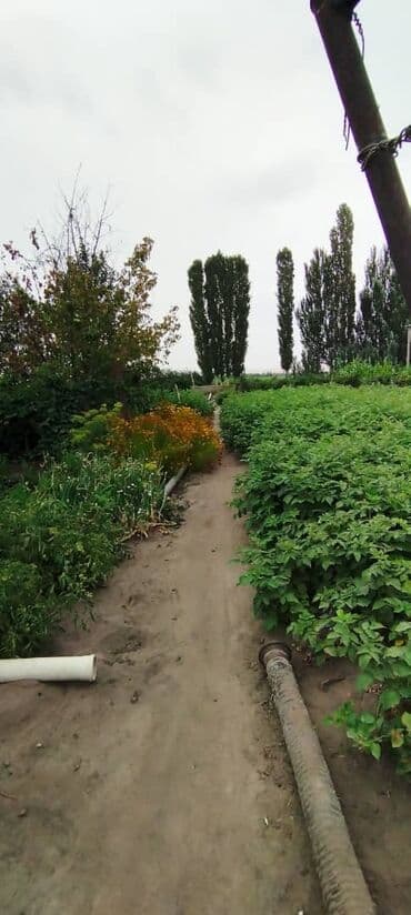 Үйдү ижарага алам: Үй, 70 кв. м, 5 бөлмө — 5