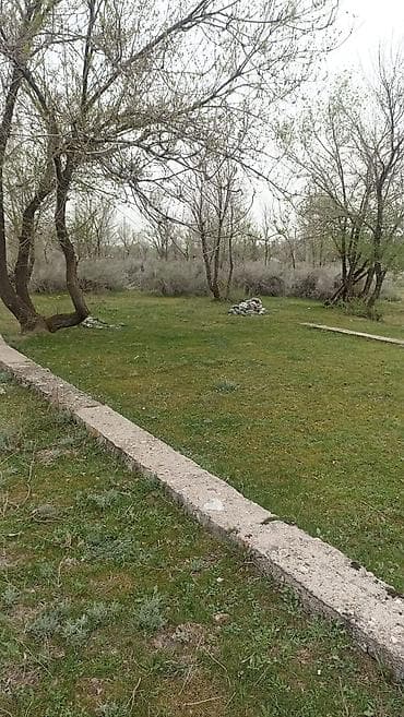 жер маян: 5 соток — 1