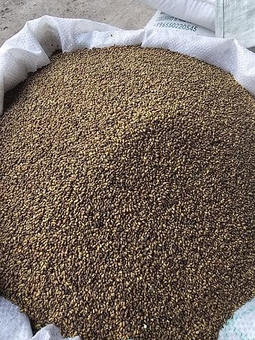 Клевер магнитируемый !