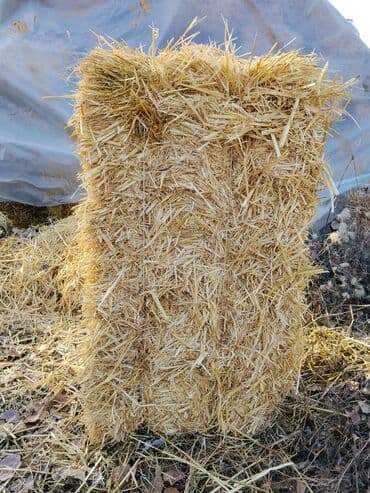 наполнитель для животных: Тюк соломы (прямоугольный) - Плотно спрессованный тюк из сухой соломы — 2