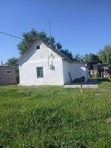 с участком: Дом с хозяйственными постройками и большим участком. Описание: - — 1