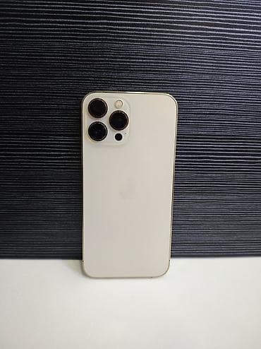 ipad mini: IPhone 13 Pro Max, Б/у, 512 ГБ, Серебристый, Защитное стекло, Чехол, 79 % — 8