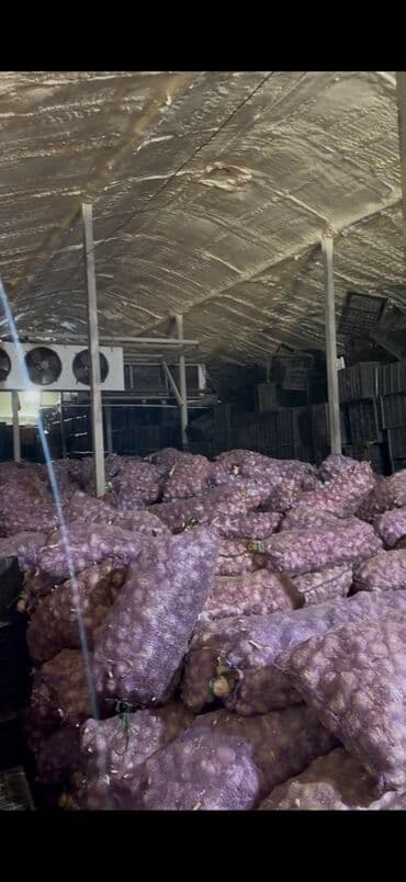 чеснок в большом количестве: Чеснок Оптом, Самовывоз, Бесплатная доставка, Платная доставка — 5