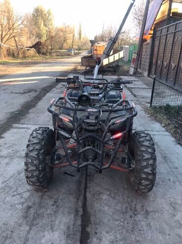 мото квадрацикл: Мощный квадроцикл, предназначенный для передвижения по пересеченной — 1