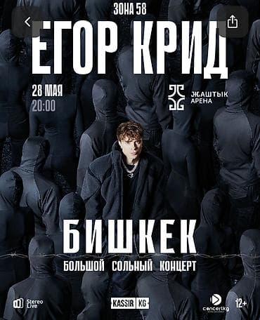 Другие товары для дома: Продаю билет из-за отъезда Билеты на большой сольный концерт Егора — 1