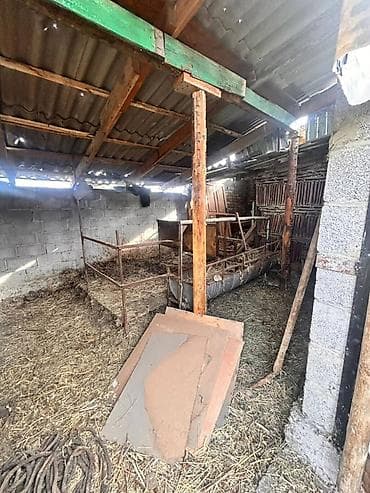 кызыл таш: Срочно продаю дом ориентир,,Строй дом'',''Уютный дом" ярмарка все — 6