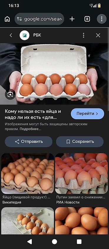 меняю на кур: Куриные яйцо народа адлер - Тип: столовые куриные яйца коричневой — 1