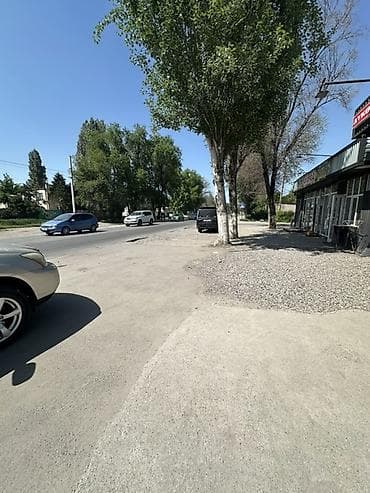 село лесное: Магазин арендага берилет товары менен — 7