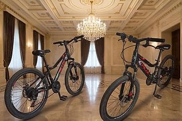 fixed gear: Горный велосипед, Сталь — 1