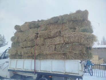 животные домашние: 1 укос чоп сатылат доставка 330 сом — 1