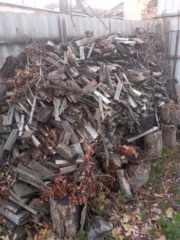 лес на дрова: Дрова Самовывоз — 3